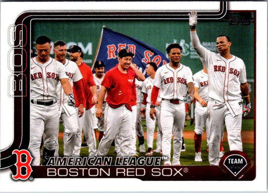 264 BOSTON RED SOX