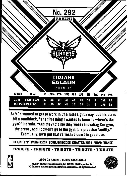 Panini NBA Hoops Tidjane Salaun card featuring player stats and biography for basketball fans